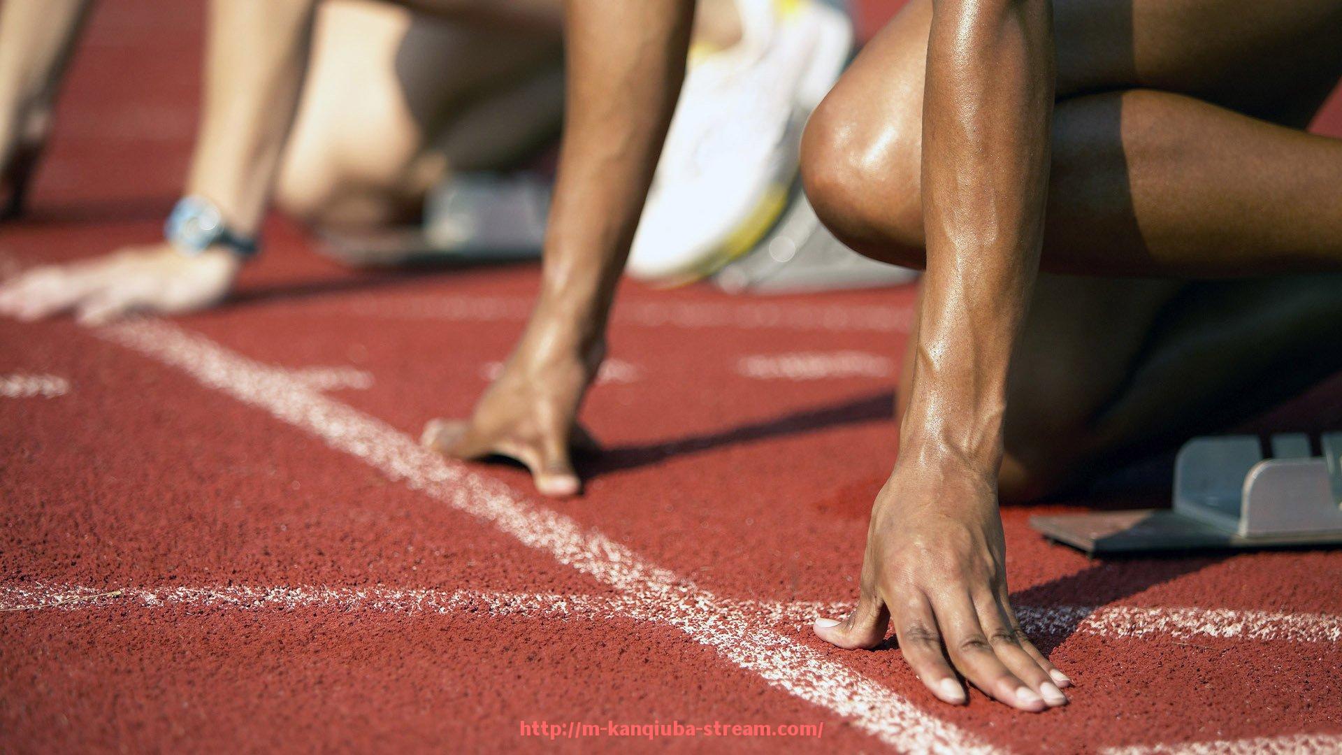 看球吧直播-德甲各支球队现任主教练完整名单及执教履历