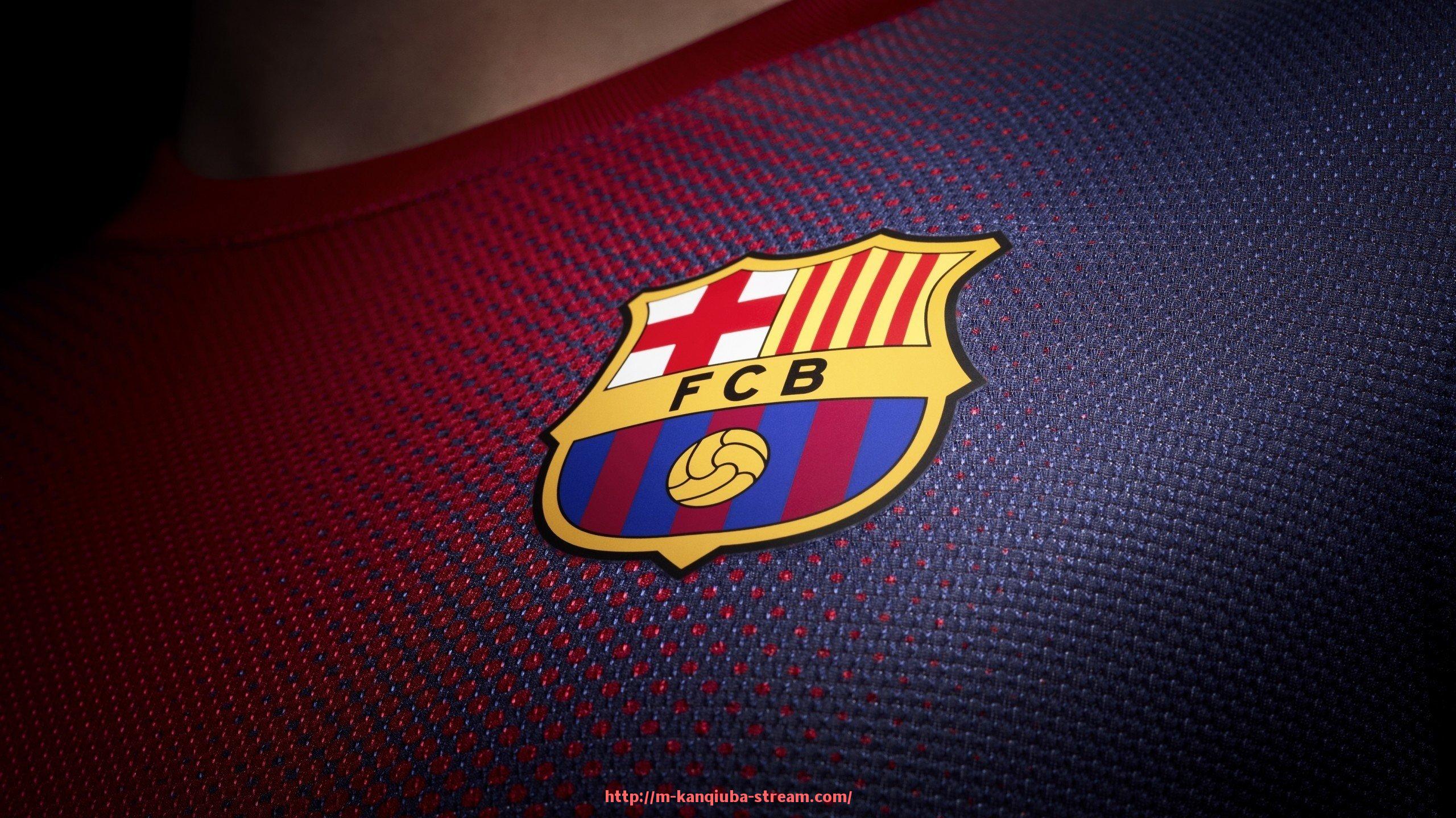 看球吧直播-法甲视频回放系统应用情况:技术辅助判罚的进步与挑战